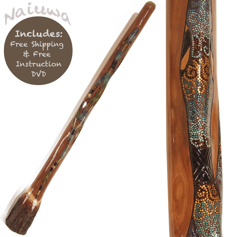 didgeridoo eucalyptus from Australia