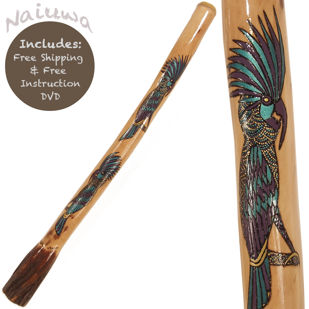 didgeridoo eucalyptus from Australia