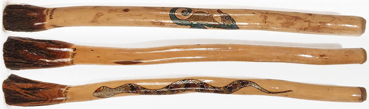 Didgeridoo eucalyptus from Australia
