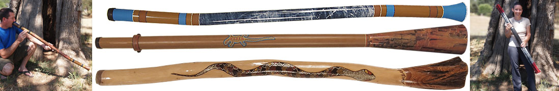 Didgeridoo Banner